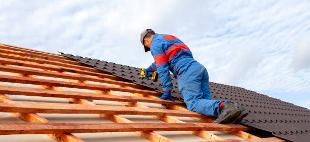 Best Gutter Installation and Repair  in Lake Ozark, MO